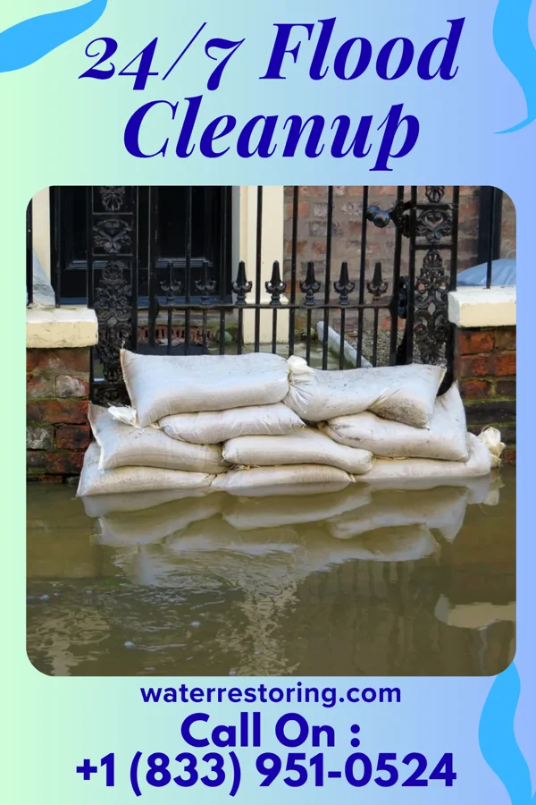 24/7 Flood Cleanup in Longview, MS