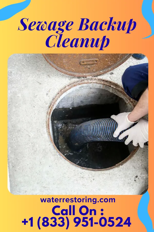 Sewage Backup Cleanup in Longview, MS